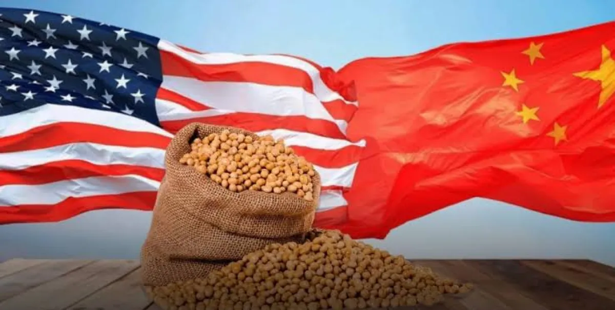 Kedelai Impor AS, Lebih Baik dari China