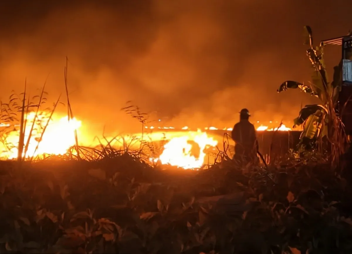 Gegara Bakar Sembarangan, Lahan Tebu Seluas Satu Hektare di Jombang Hangus