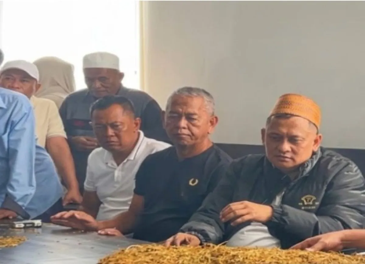 Per 2026, Pemkab Catat Serapan Pembelian Tembakau di Pamekasan Capai 42.575 Ton