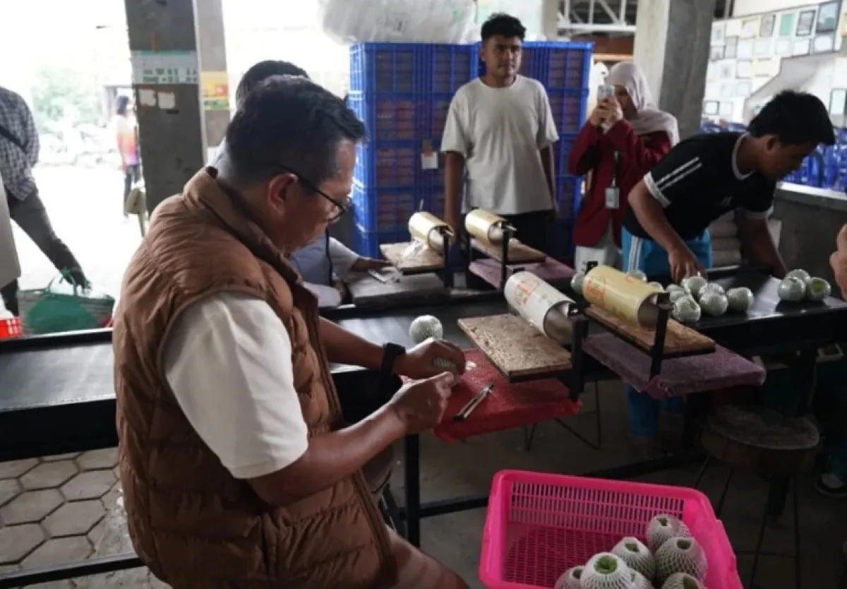 Lewat Agregator COOSAE, Pemkot Batu Perkuat Akses Pasar Petani Lebih Luas