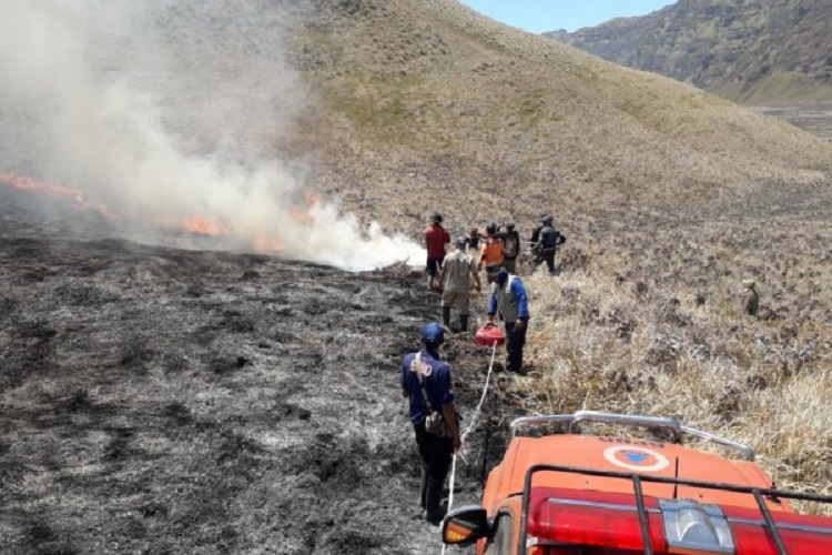 Petugas saat berusaha memadamkan api di sekitar area Bukit Teletubbies di Kawasan Gunung Bromo. SP/ MLG