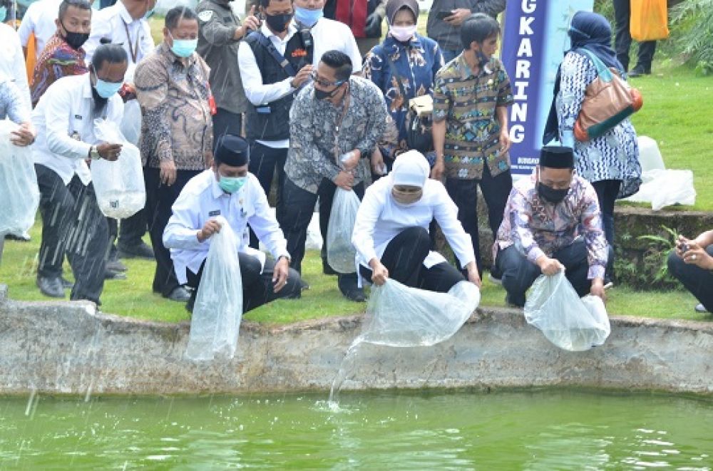 Gubernur Khofifah Indar Parawansa menabur benih ikan di danau buatan Wisata Alam Setigi. SP/M.AIDID