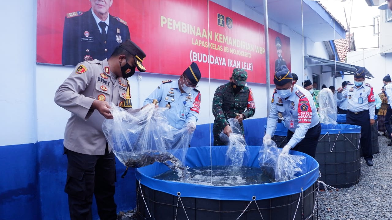 Peternakan ikan lele bioflok Lapas Kelas IIB Mojokerto. SP/Dwy Agus Susanti