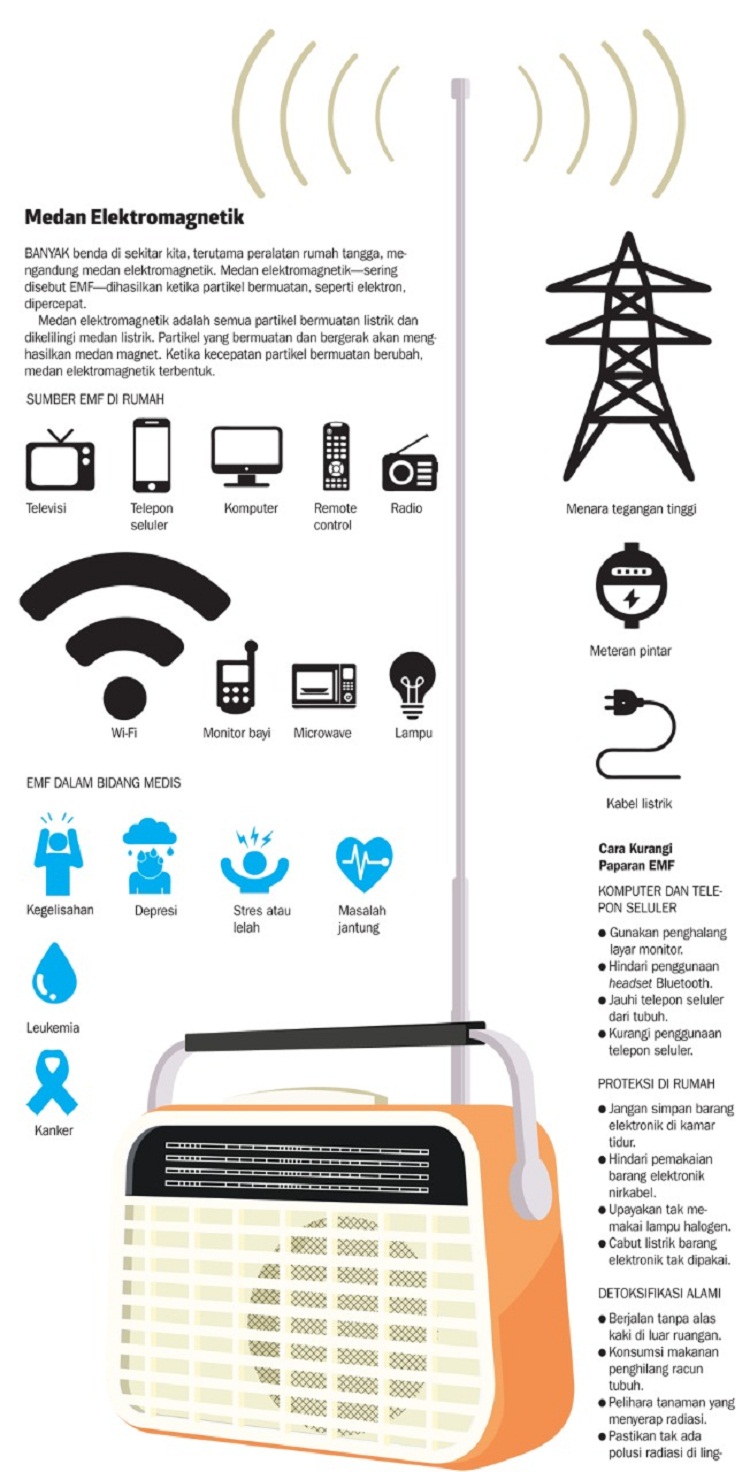 Infografis paparan medan elektromagnetik (EMF). SP/ RMC