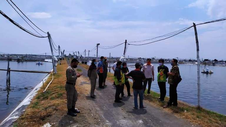 Kepala dinas DLH bersama Satpol PP saat mendatangi tambak PT Bumi Subur. SP/Lim