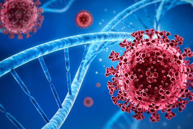 Illustrasi Covid varian 'Eris' yang sedang di awasi pihak Organisasi Kesehatan Dunia (WHO). SP/ JKT