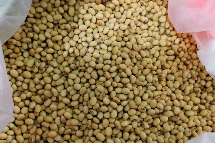 Foto ilustrasi. Foto: Kementan.