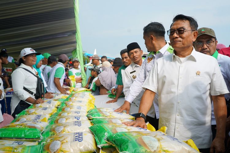 Kepala Staf Kepresidenan Moeldoko saat menghadiri kegiatan panen raya padi di Desa Lojejer, Kecamatan Wuluhan ,Kabupaten Jember, pada Jumat (24/3/2023). Foto: KSP.