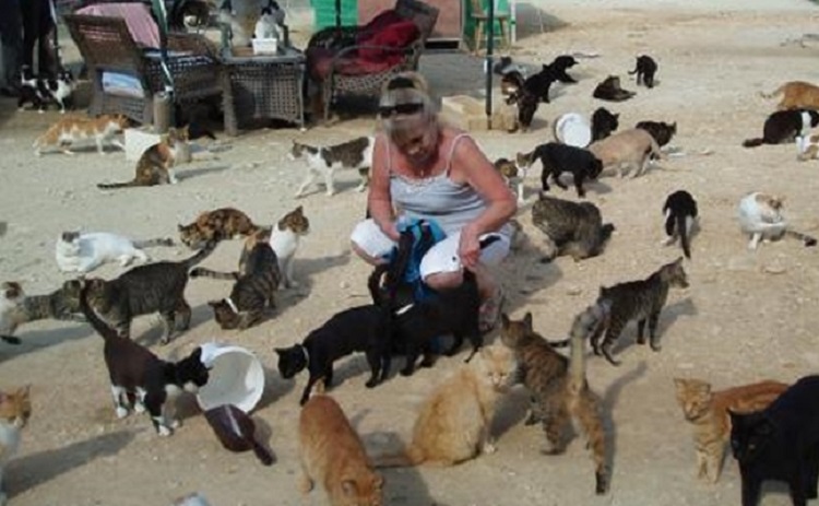 Kucing di Siprus. SP/ SBY