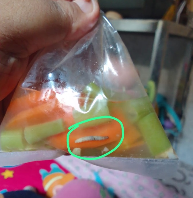 Sayur sop yang terdapat ulat. SP/Istimewa