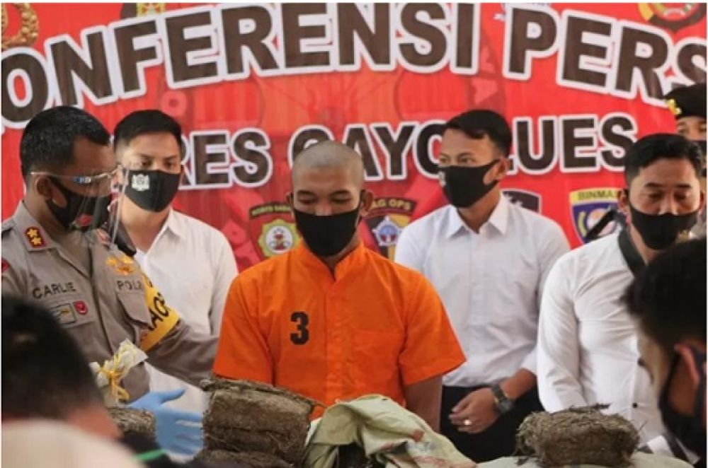 TRA bin THR, pelaku peredaran ganja yang diamankan Polres Gayo Lues saat rilis kasus. 