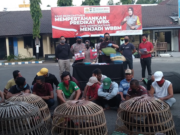 Polres Pelabuhan Tanjung Perak merilis penggerebekan judi sabung ayam di Jalan Tenggumung Wetan gang 6 Surabaya. SP/Septyan