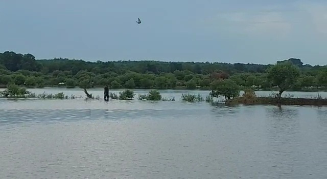 Kondisi rob di wilayah pertambakan Pulau Mengare, Kecamatan Bungah, Gresik. SP/Grs