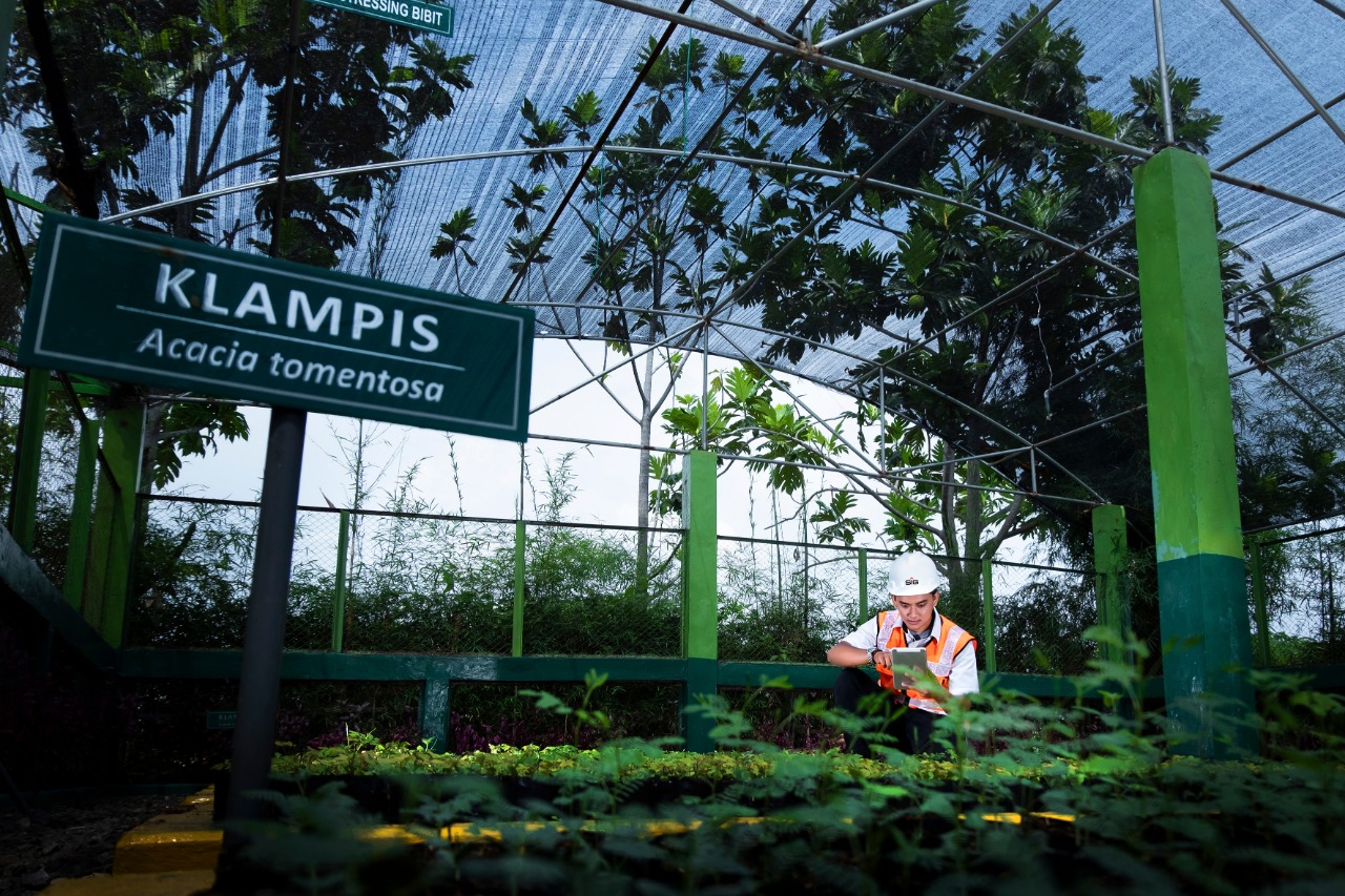 Area pembibitan tanaman untuk reklamasi lahan pascatambang Pabrik Tuban. SP/SG