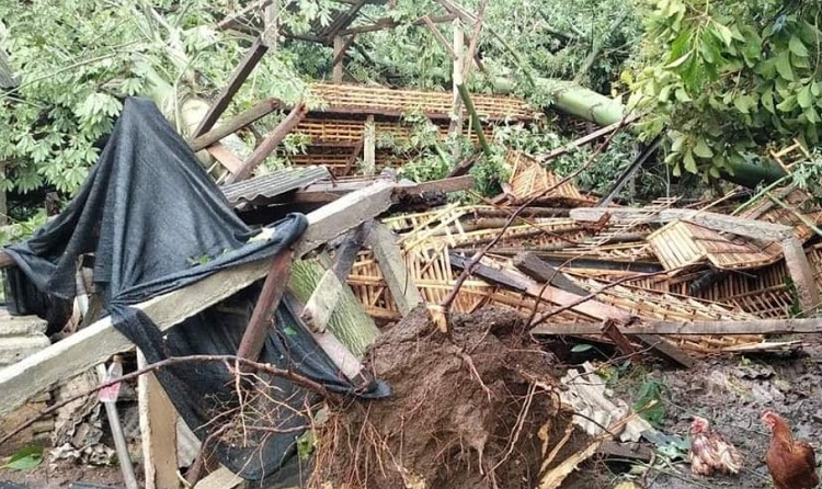 Beberapa rumah warga yang rusak dan pepohonan tumbang akibat tersapu angin puting beliung. SP/ BJ