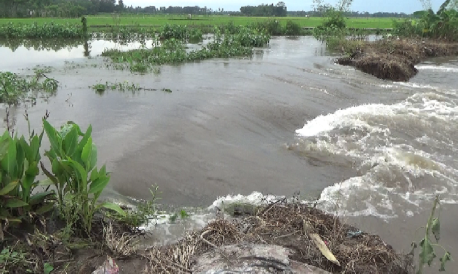 Meluapnya air Tanggul sungai di Lumajang yang kini jebol diguyur hujan. SP/ DECOM