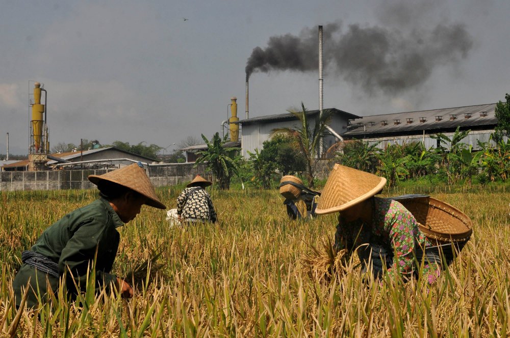 Lahan pertanian di Kota Malang semakin menipis karena pembangunan pabrik. SP/ TJ