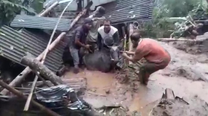 Sapi limousin milik warga yang terjebak longsor di Pasuruan. SP/ PSN