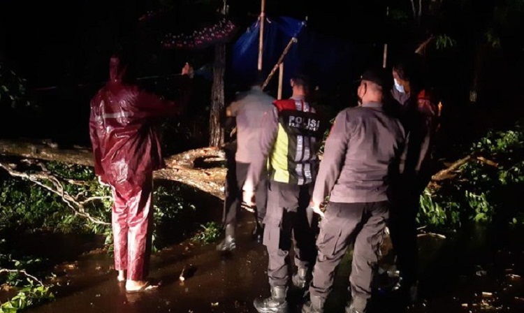 Beberapa rumah di Sumenep yang rusak diterjang angin kencang dan pohon tumbang. SP/ SMP