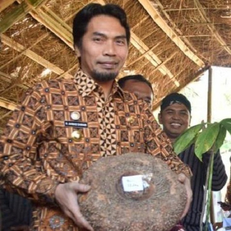 Bupati Madiun H Ahmad Dawami memegang porang. SP/ Kementan Madiun