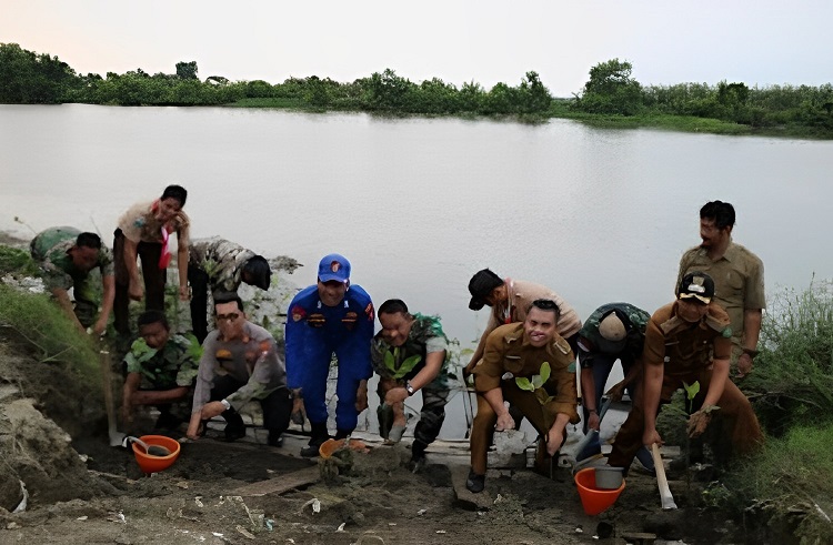 Kegiatan penanaman mangrove nasional serentak oleh jajaran TNI seluruh Indonesia di wisata bahari tlocor Desa Kedungpandan Kecamatan Jabon Kabupaten Sidoarjo, Senin (15/05/2023). SP/ Hikmah