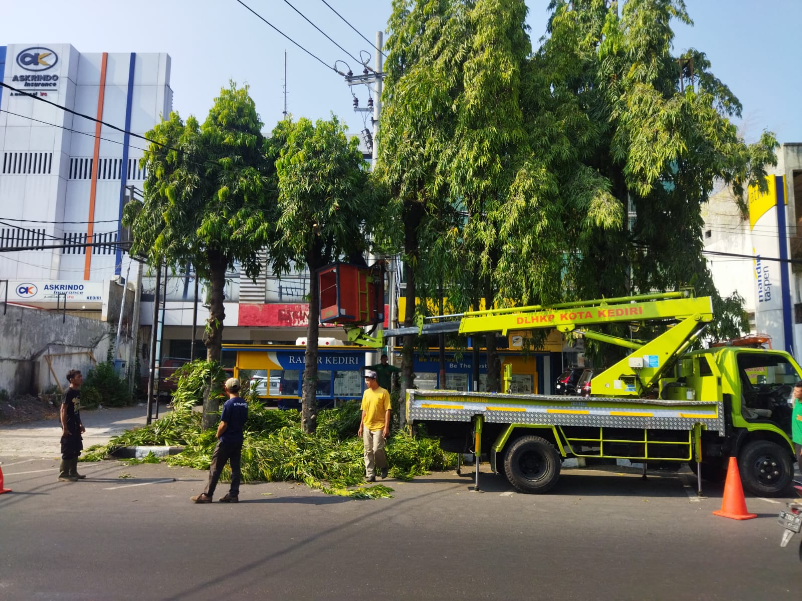 Petugas saat melakukan pemangkasan pohon antisipasi memasuki musim penghujan