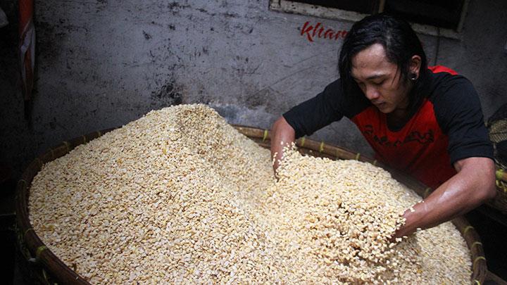 Foto ilustrasi pengrajin tempe.