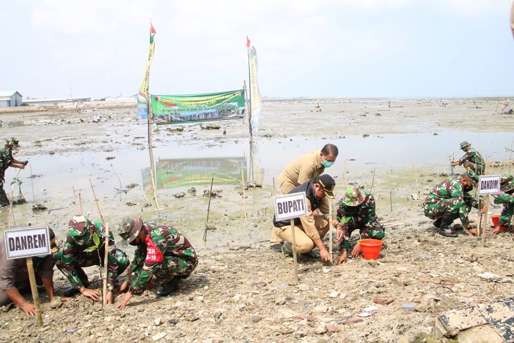 Danrem dan bupati saat memulai penanaman pohon mangrove di pesisir pantai Utara Paciran Lamongan. SP/MUHAJIRIN KASRUN