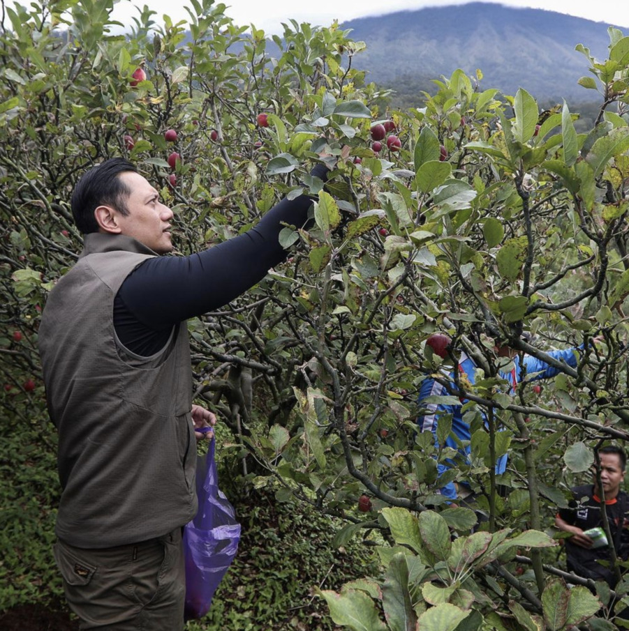 Agus Harimurti Yudhoyono memposting kegiatan di Kebun Puri Agung, Batu. (foto: instagram @agusyudhoyono)