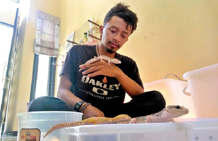 Angga Mahardika dengan budidayanya leopard gecko. SP/ TRG