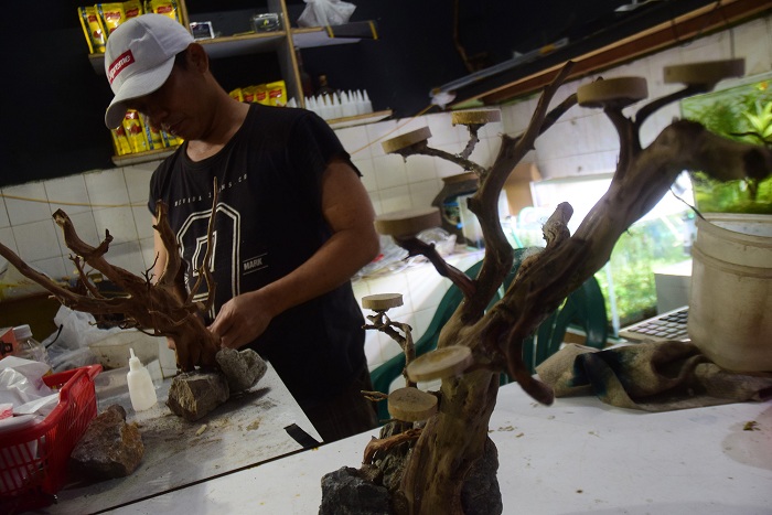 Pengunjung melihat display aquascape yang di pajang di Toko Aquaplant, Sidoarjo, Selasa (5/1). SP/Patrik Cahyo