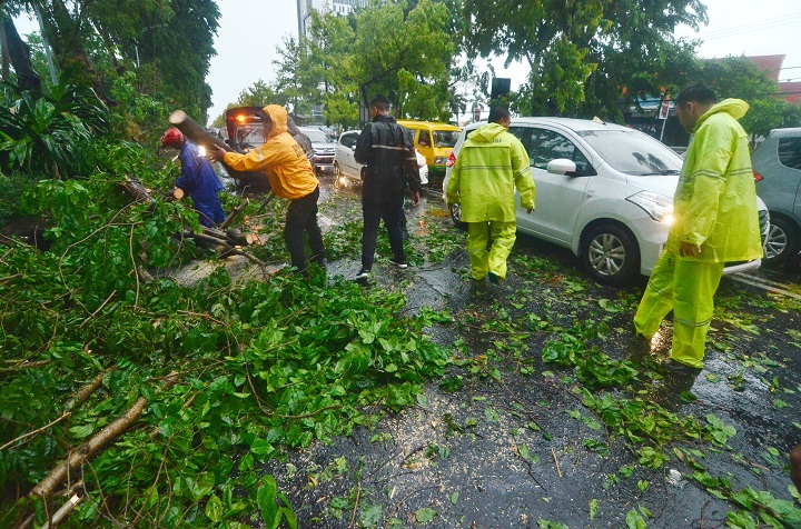 Beberapa pohon di sepanjang Jalan Ahmad Yani Surabaya, tumbang karena angin kencang dampak La Nina, yang terjadi pada awal Januari 2020 lalu. SP/Arlana