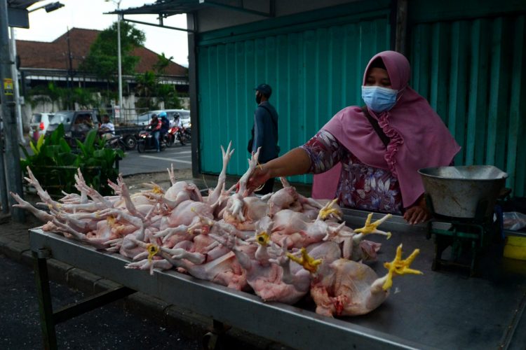 Penjual ayam potong di Surabaya. SP/ SBY
