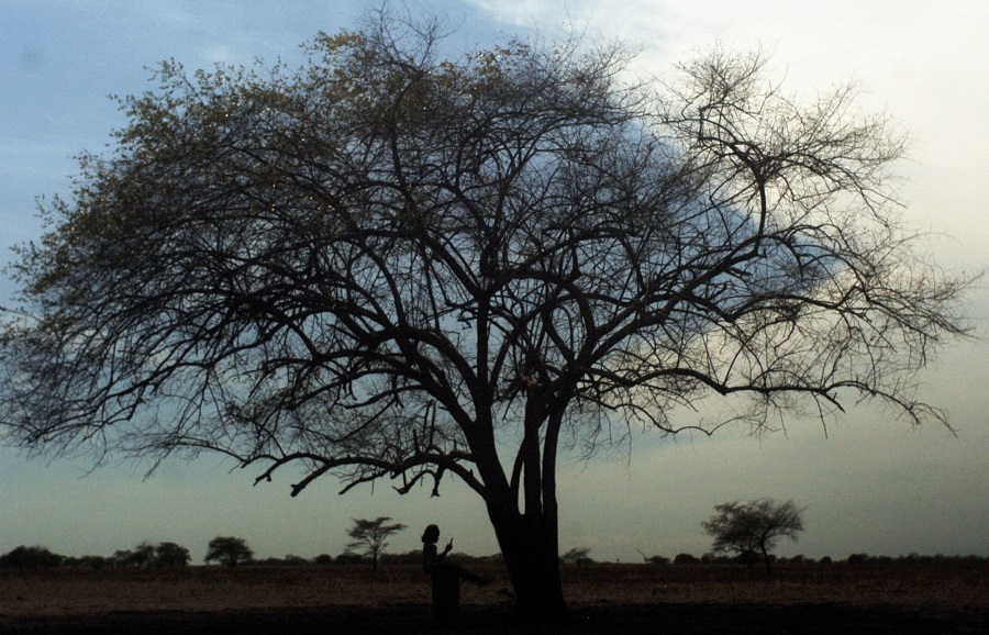 Bahana Patria Teatrikal Pandemi. SP/ Byta/ Julian