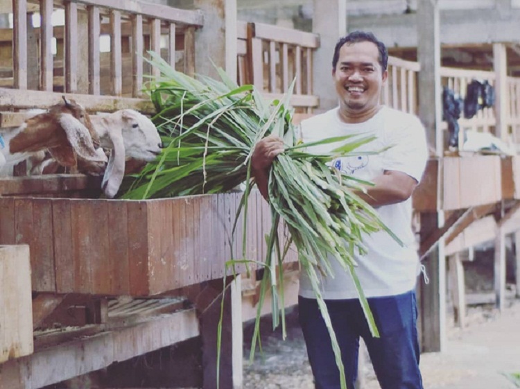 Bayu saat memberikan makan ternak kambing dan dombanya. SP/ YGY