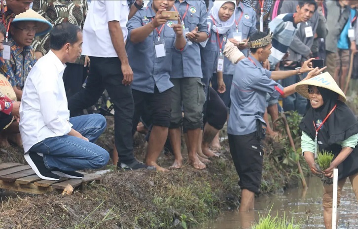 Presiden Joko Widodo sedang berbincang-bincang dengan para petani di pinggir sawah, di Desa Cisaat, Leuwigoong, Garut, dalam kunjungannya meninjau gerakan mengawal musim tanam. SP/ JKT