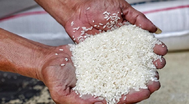 Harga Beras di Filipina Naik, Jumat (01/09/2023)