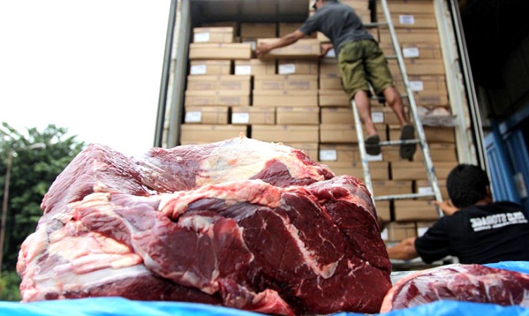 Pekerja sedang melakukan bongkar muatan daging sapi impor di gudang Bulog, Jakarta. SP/ JKT