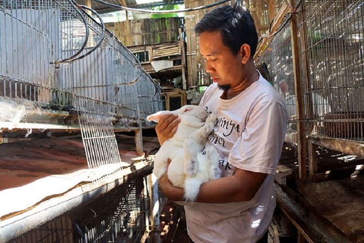 Burhan M. Ahyani dengan kelinci pedaging budidayanya. SP/ TRG