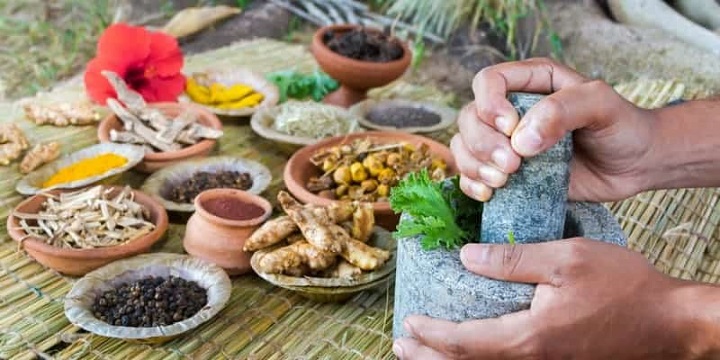 Tanaman herbal masih menjadi favorit warga untuk penunjang kesehatan.