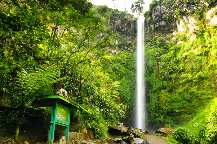 Wisata Air terjun Coban Rondo di desa Pandansari, Kecamatan Pujong, Kabupaten Malang, Jawa Timur. merupakan salah satu destinasi wisata yang sangat populer di kalangan wisatawan baik domestik maupun mancanegara. SP/BACJAK