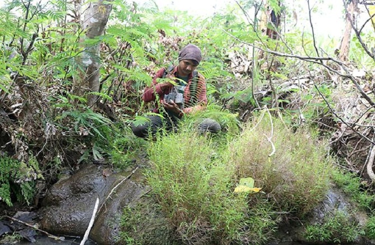 Dolis saat melakukan kegiatan penanaman pohon. SP/ BLT