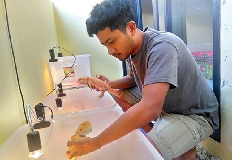 Yanuar Imsyaka Sabih dengan bearded dragon miliknya. SP/ TRG