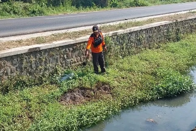 Lokasi penemuan mayat berkelamin wanita di Sungai Japanan, Mojowarno, Jombang, membuat geger warga sekitar.