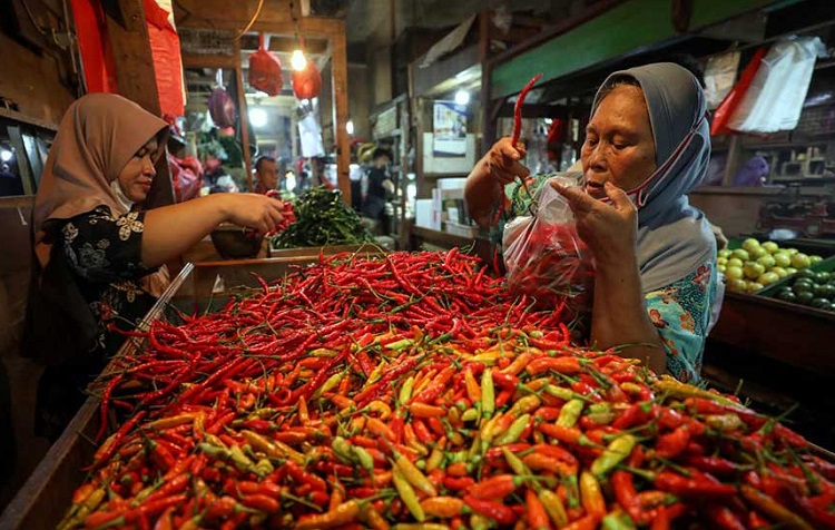 Ilustrasi para pedagang cabai di pasar. SP/ JKT