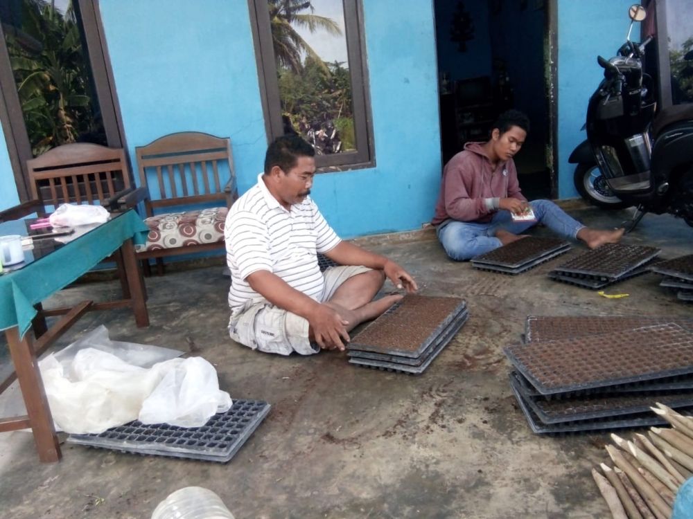 Kades Glugur Moh. Misnal bersama keluarganya, tengah melakukan pembibitan cabe merah di kediamannya, di Desa Glugur Batuan Sumenep.SP/ar