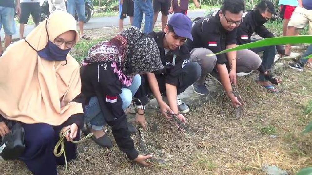 Pemuda warga Desa Mlati, Kecamatan Mojo, Kabupaten Kediri melepaskan sejumlah hewan predator ke alam