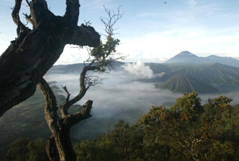 Wisata alam Bromo - Tengger - Semeru secara bertahap mulai dibuka hari ini, Jumat (28/8/2020).SP/ADT