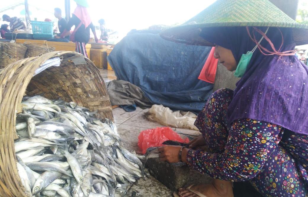 Caption: Pedagang ikan di Pasar Ikan terbesar di Lamongan saat memilih ikan.SP/MUHAJIRIN KASRUN