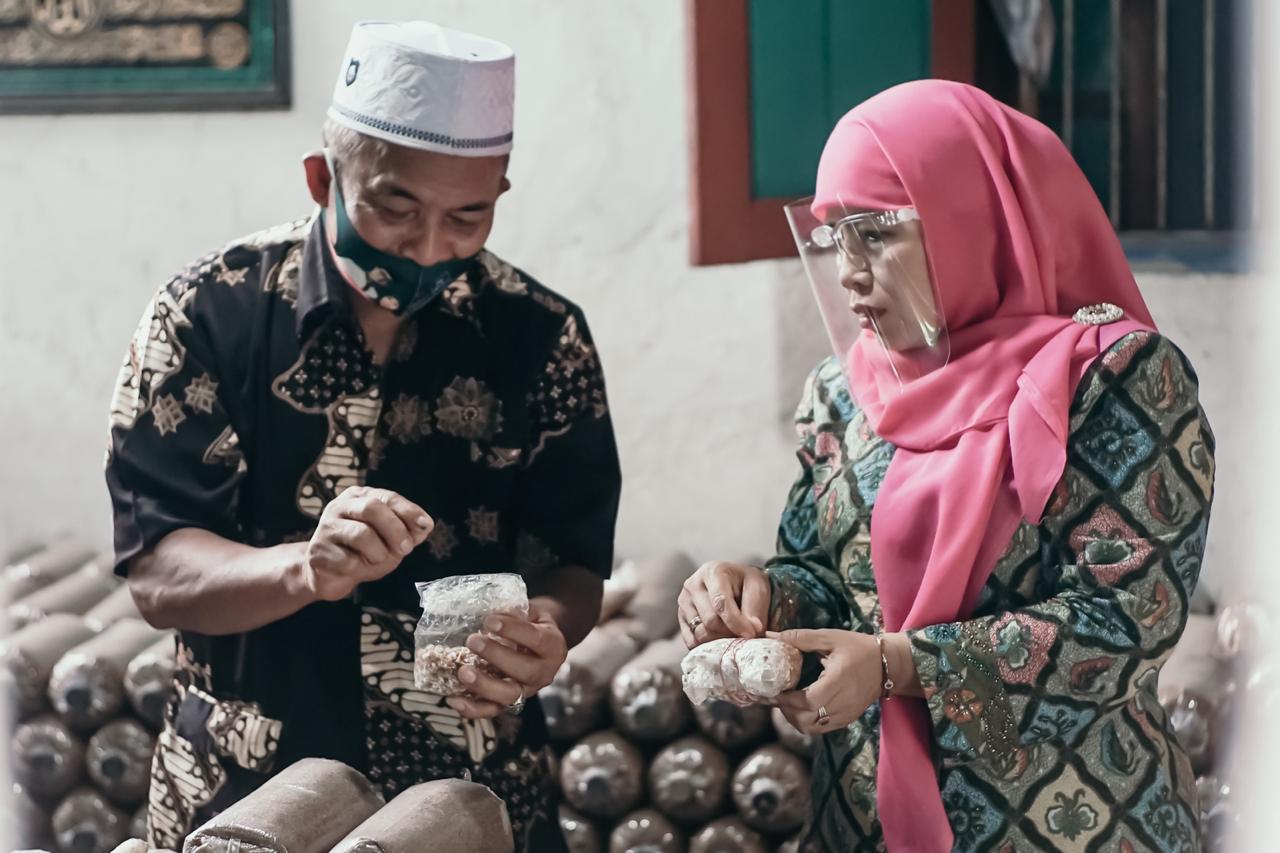 Cawabup Dwi Astutik bersama petani jamur